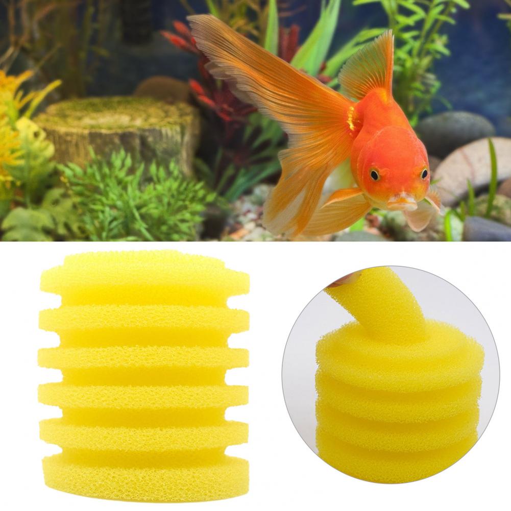 Cá Mút Xốp Đa Năng Có Thể Tái  - đánh giá và giá Aquarium Fish Yellow