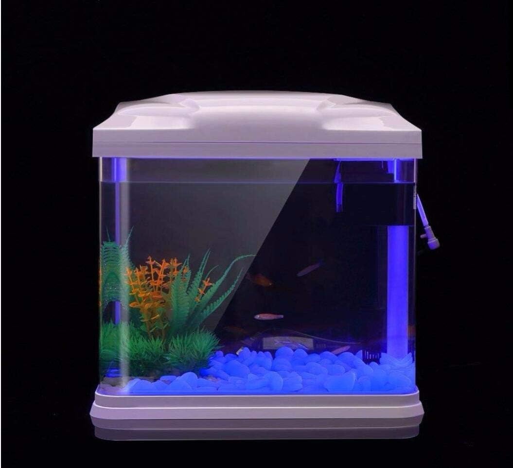 Fish Tank Rocks Glow Blue Pebb - đánh giá và giá Aquarium Fish Quarantine