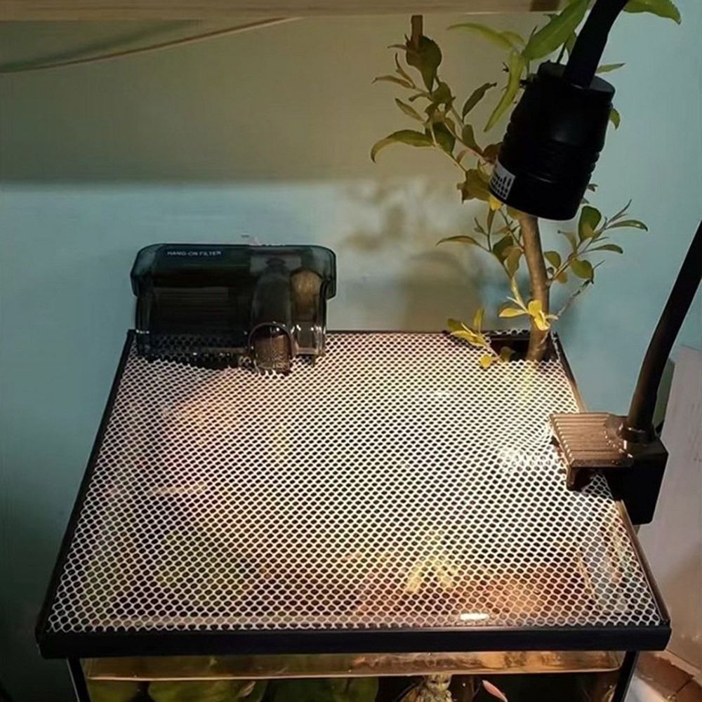 Durable Magnetic Fish Tank Lid - đánh giá và giá Aquarium Fish Trap