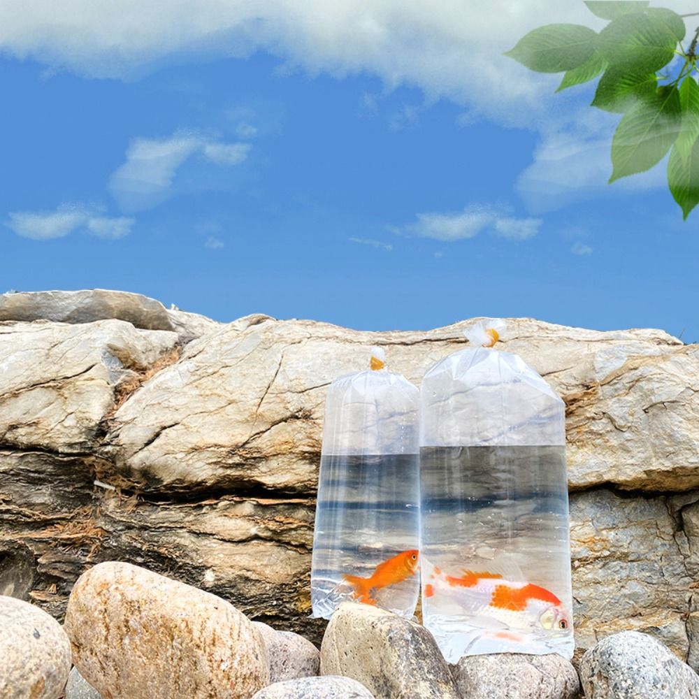 10PCS Plastic Aquarium Breathi - đánh giá và giá Aquarium Fish Delivery
