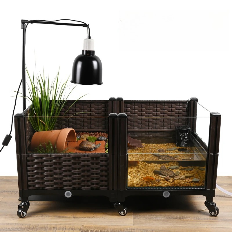 Eco Turtle Tank with Basking P - đánh giá và giá Aquarium Fish Yellow