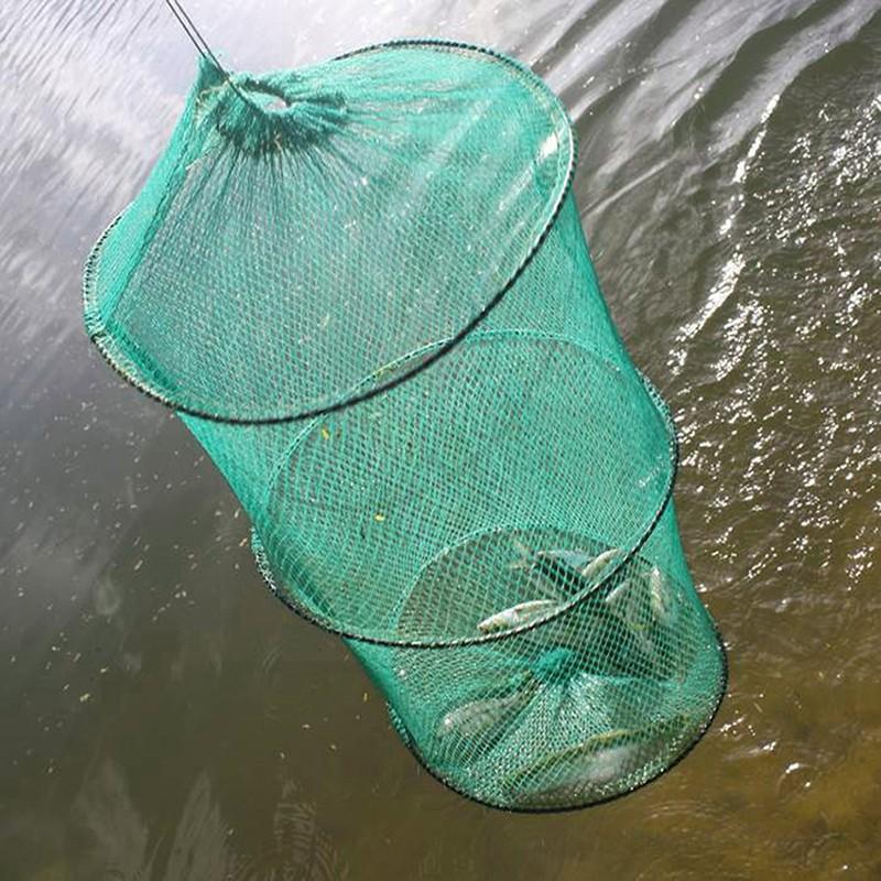 Folding Round Nylon Mesh Metal - đánh giá và giá Aquarium Fish Trap