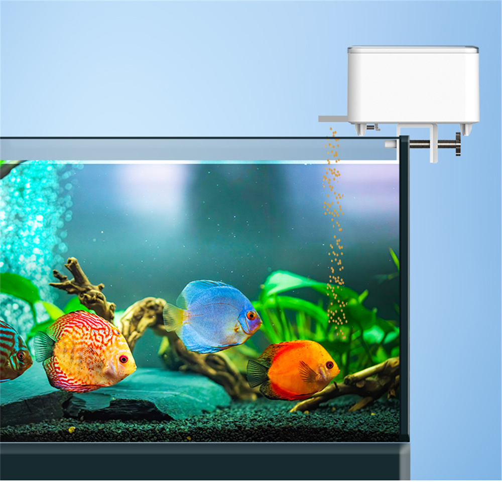 WiFi Smart Automatic Feeder Aq - đánh giá và giá Aquarium Fish App