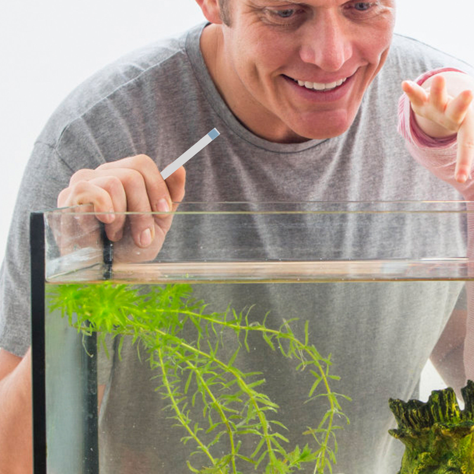 1 Box Water Hardness Test Stri - đánh giá và giá Aquarium Test Kit