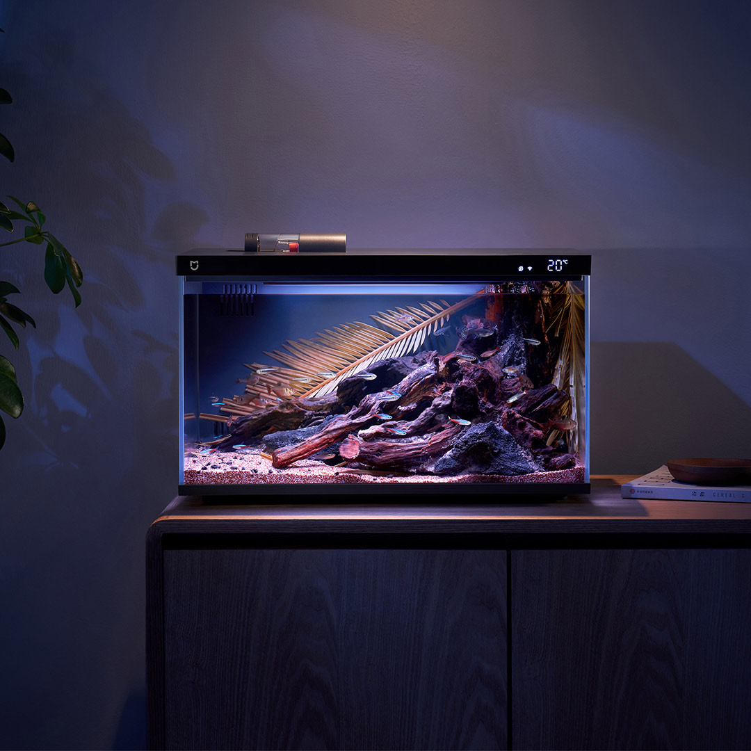 Xiaomi Mijia Smart Fish Tank M - đánh giá và giá Aquarium Fish App