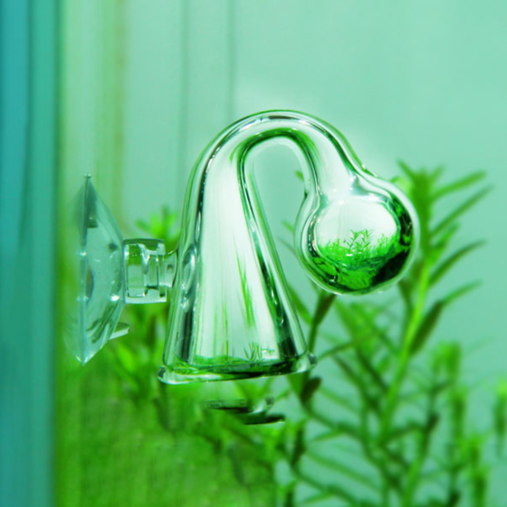 Fish Tank CO2 Diffuse Glass Dr - đánh giá và giá Aquarium Fish Quarantine