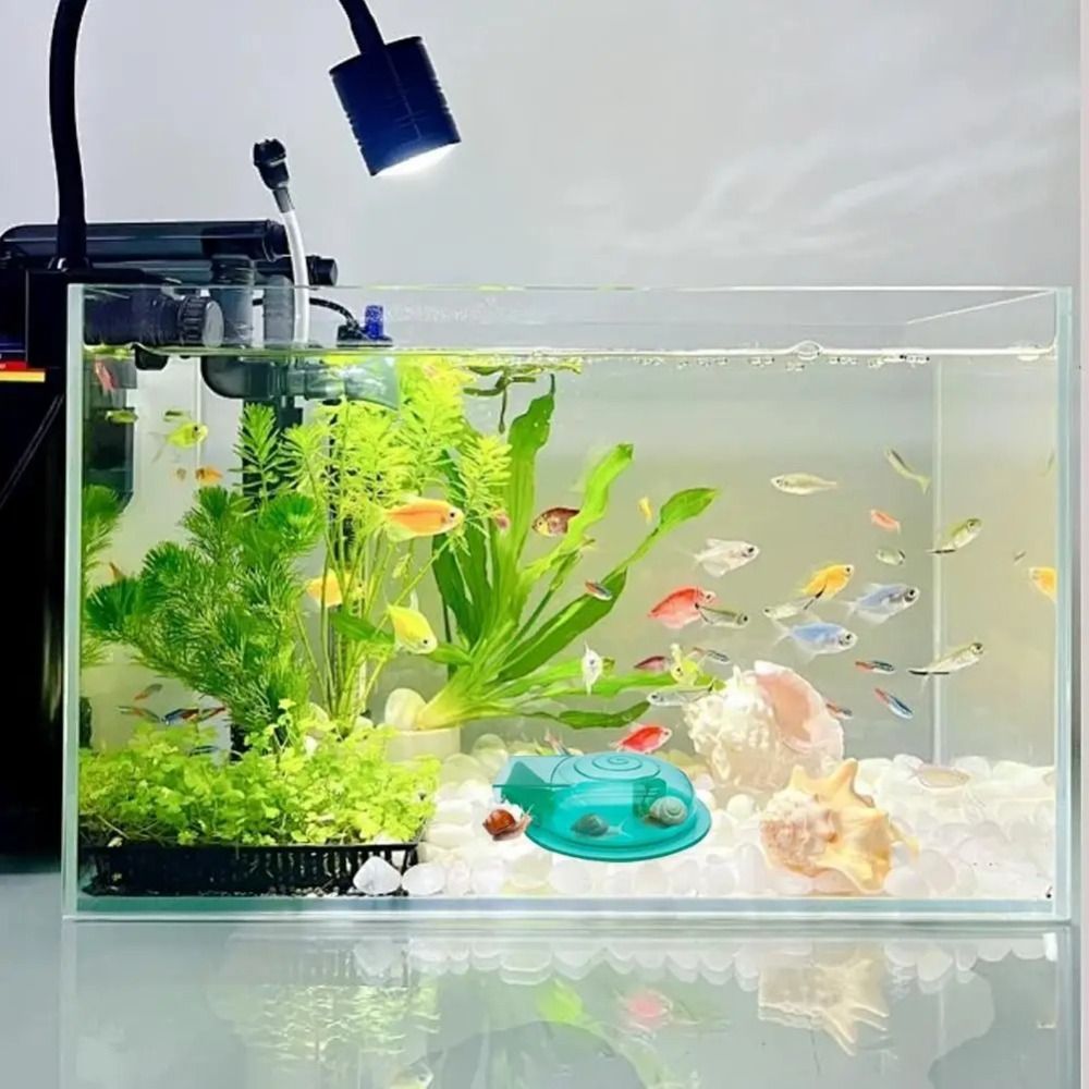 Freshwater Saltwater Aquarium  - đánh giá và giá Aquarium Fish Trap