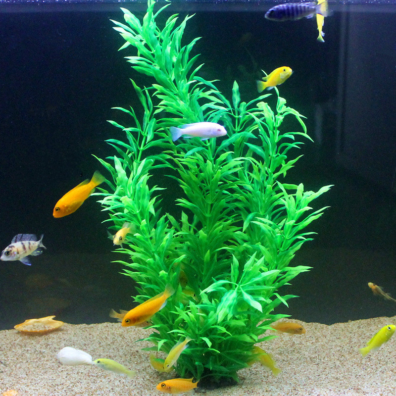 50CM Nhân Tạo Cá Thực Vật Quý  - đánh giá và giá Aquarium Fish Quarantine