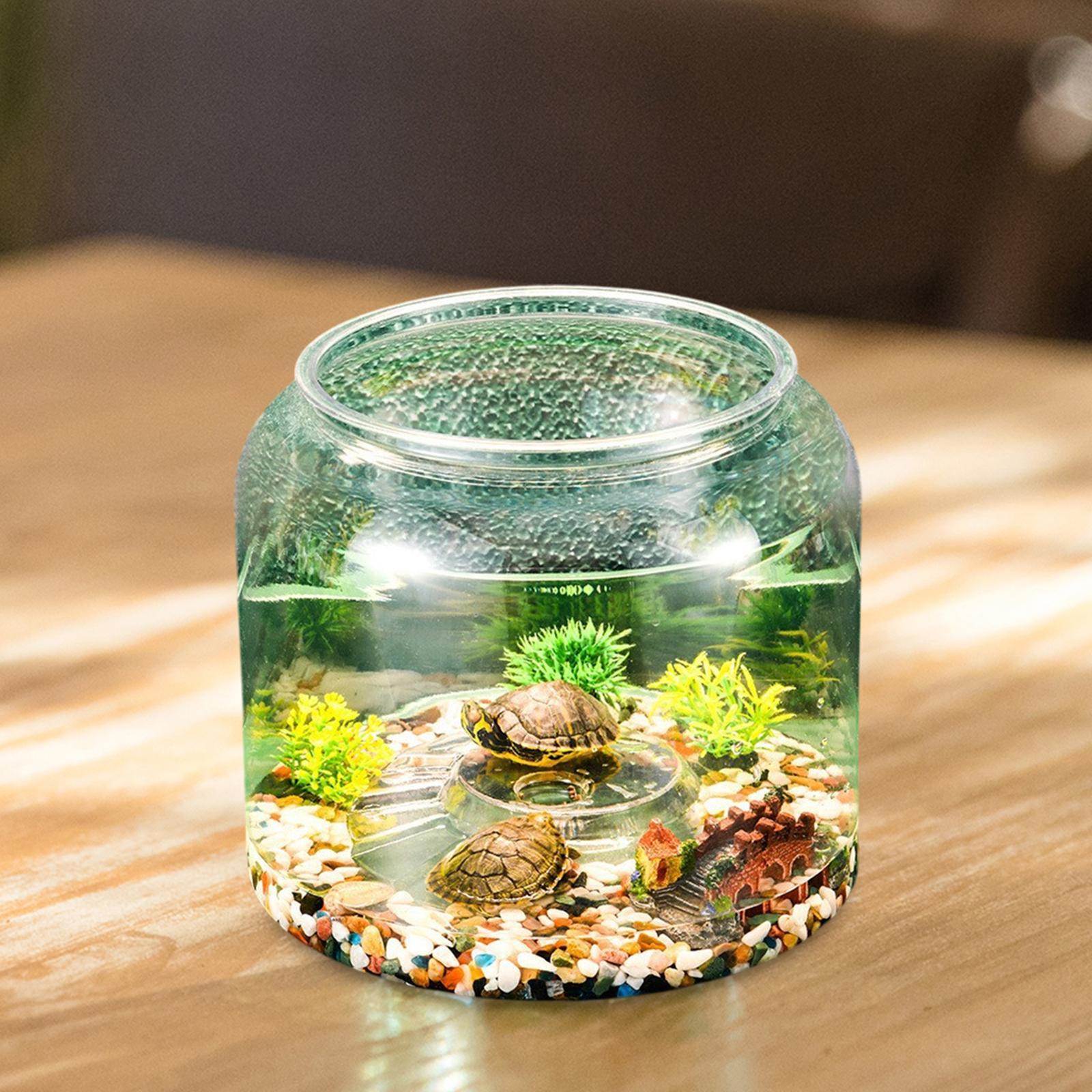 Turtle Tank Tabletop Reptile H - đánh giá và giá Aquarium Fish Drawing
