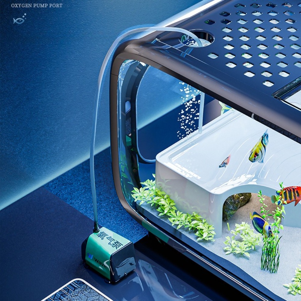 Transparent Luxury Fish Tank D - đánh giá và giá Aquarium Fish Cichlid