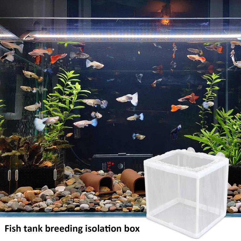 Fish Breeder Box with Suction, - đánh giá và giá Aquarium Fish Trap