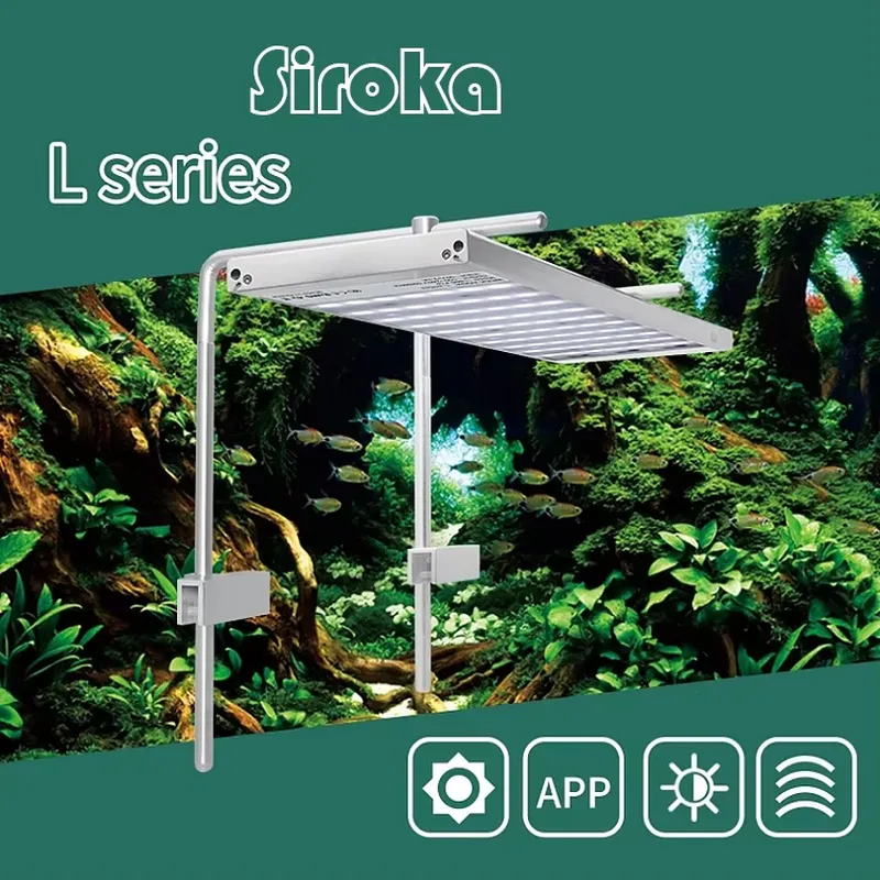 Hot Sale Silver 55W-110W Dimma - đánh giá và giá Aquarium Fish For Sale