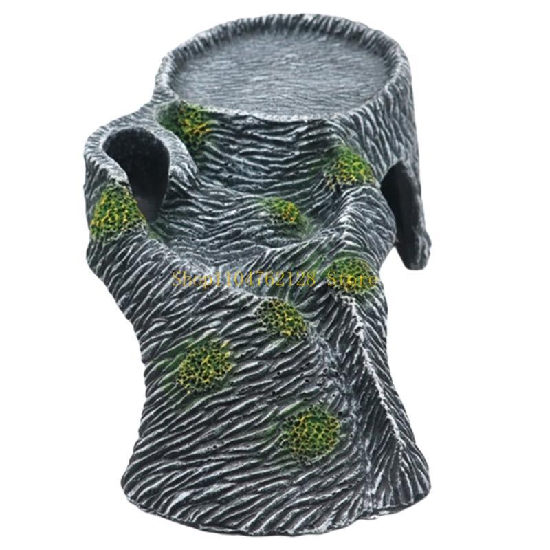 Terrariums Nền tảng phơi nắng  - đánh giá và giá Aquarium Fish For Sale