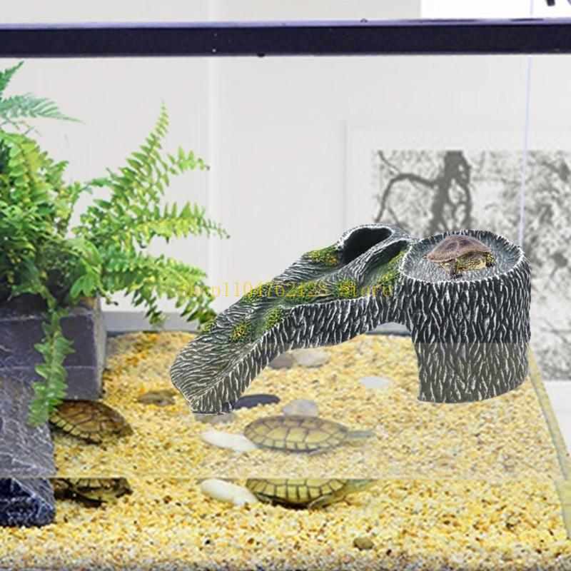 Terrariums Nền tảng phơi nắng  - đánh giá và giá Aquarium Fish For Sale