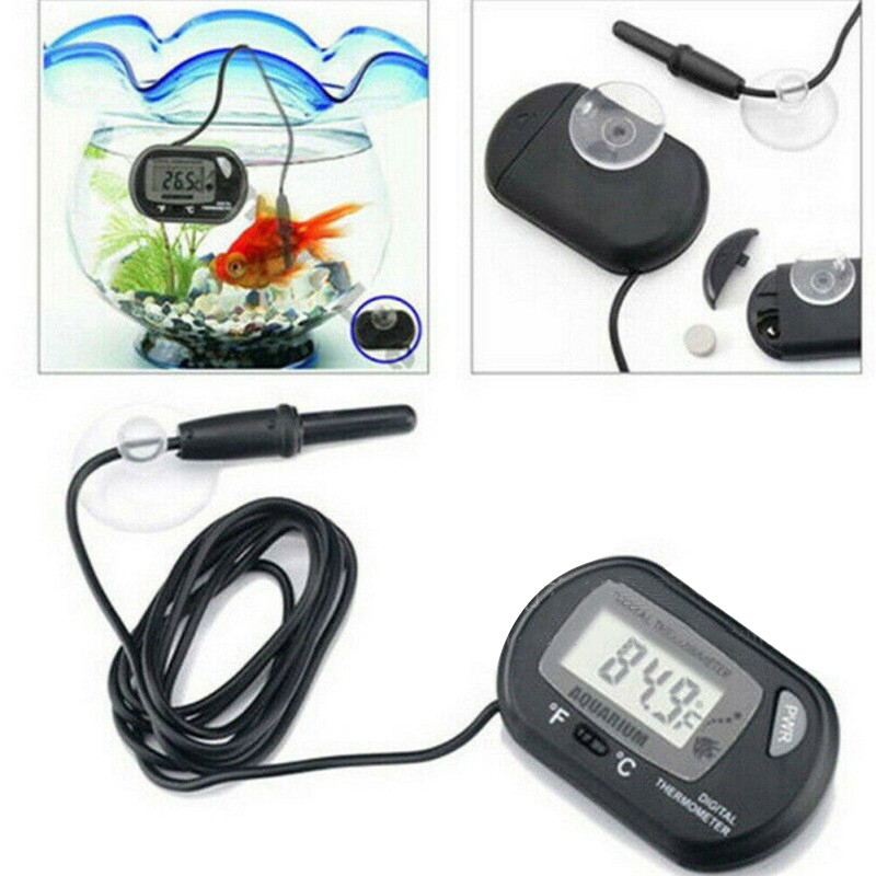 1PC 58*37mm Fish Tank Digital  - đánh giá và giá Aquarium Fish Yellow