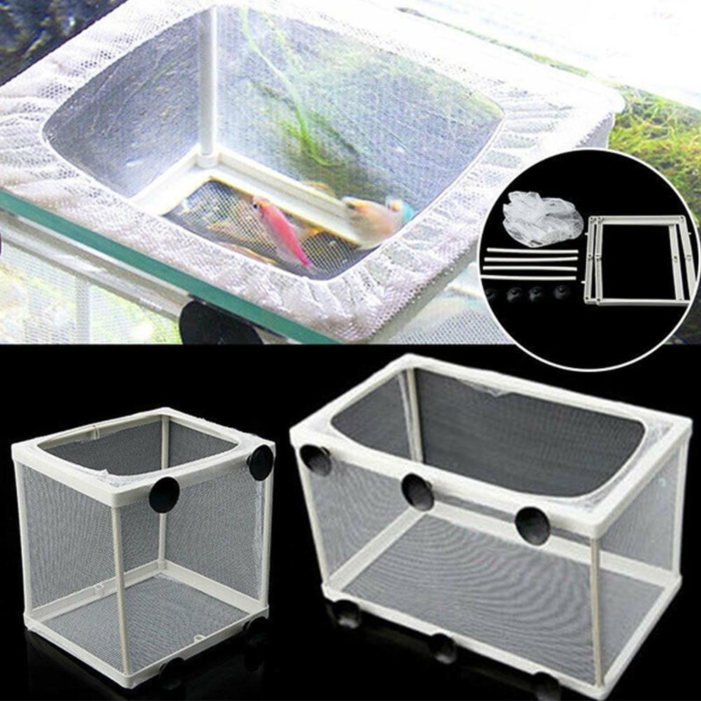 Hatchery Isolation Box for Aqu - đánh giá và giá Aquarium Fish Trap