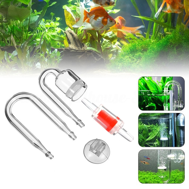 4pcs Set DIY CO2 Diffuser For  - đánh giá và giá Aquarium Fish Quarantine