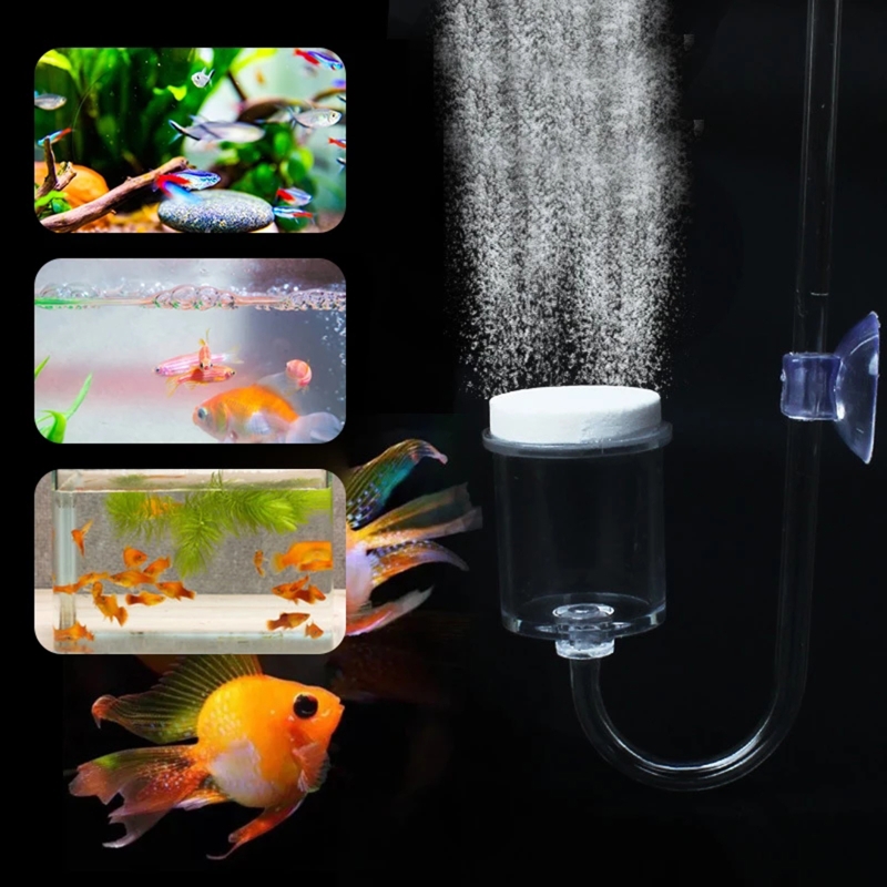 4pcs Set DIY CO2 Diffuser For  - đánh giá và giá Aquarium Fish Quarantine