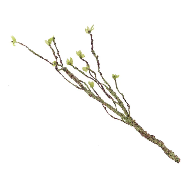 Vines Decor Climbing Branches  - đánh giá và giá Aquarium Fish Quarantine