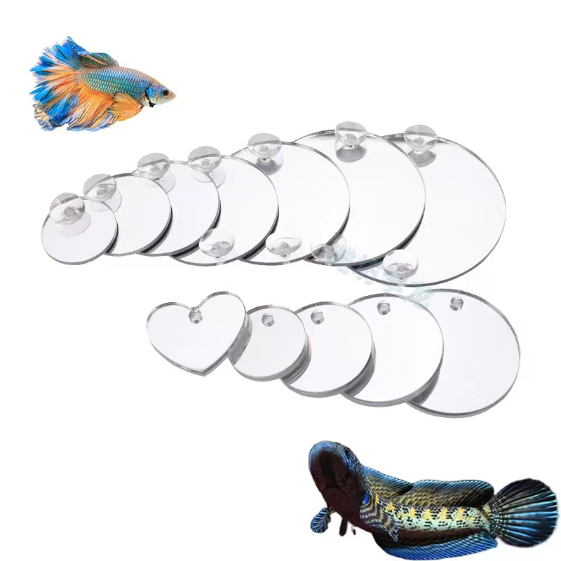Aquarium Betta Mirror Fish Tan - đánh giá và giá Aquarium Fish Cichlid