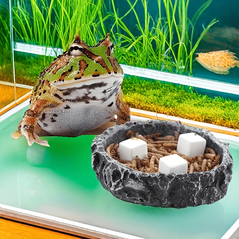 6 Pcs Fish Tank Calcium Block  - đánh giá và giá Aquarium Fish Lego