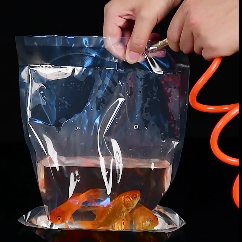 TETP 100Pcs transparent Orname - đánh giá và giá Aquarium Fish Delivery