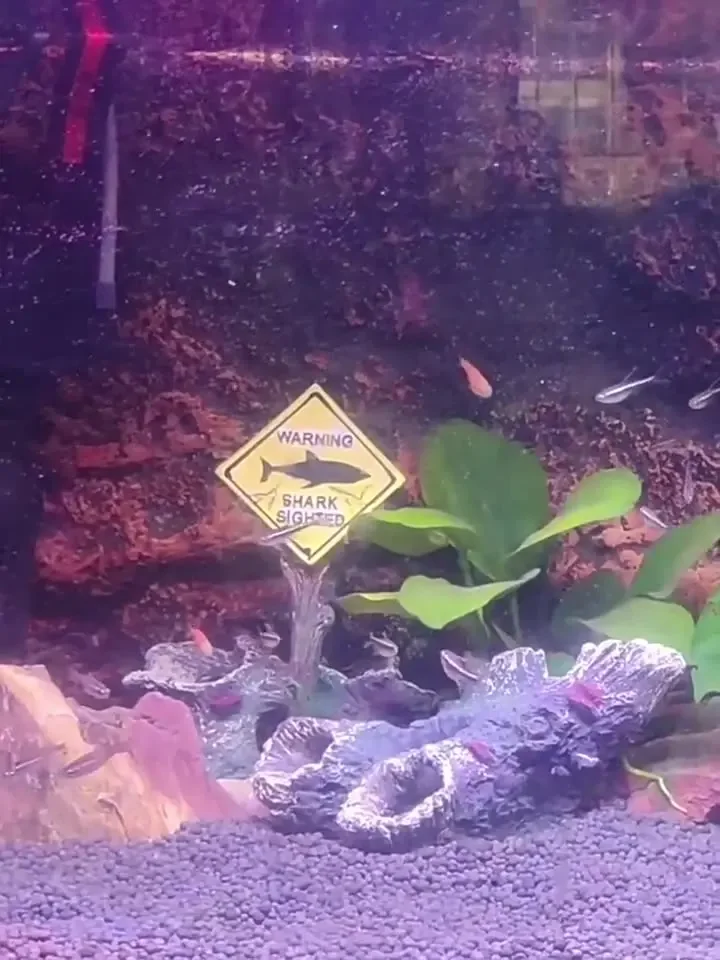 Resin Aquarium Decorative Orna - đánh giá và giá Aquarium Fish Shark