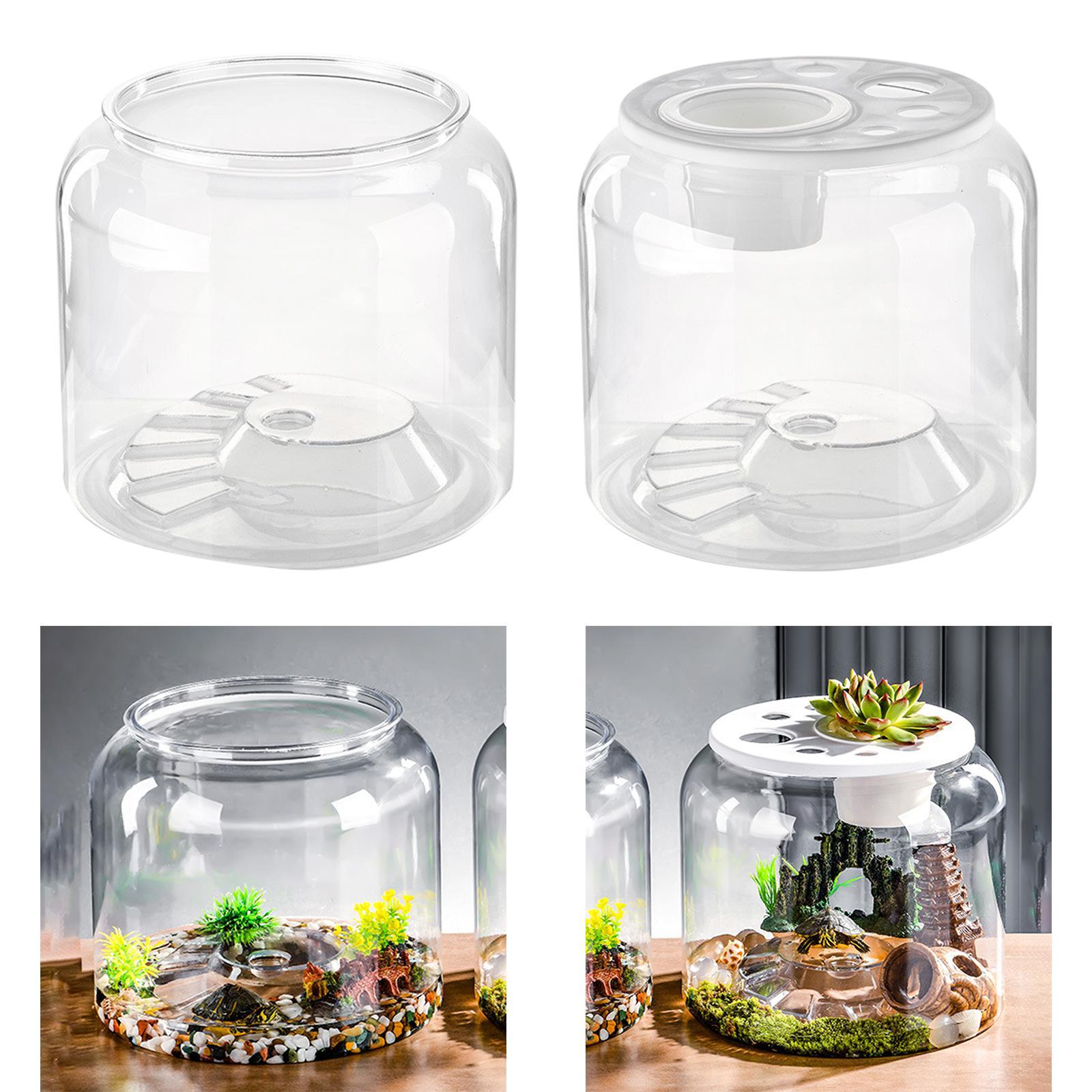 Turtle Container High Capacity - đánh giá và giá Aquarium Fish Drawing