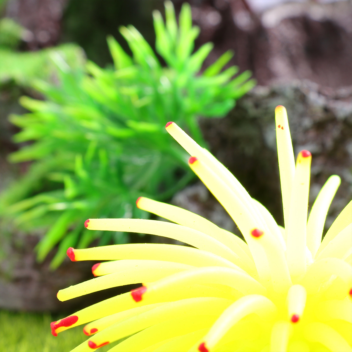 Simulation Sea Urchins Yellow  - đánh giá và giá Aquarium Fish Yellow